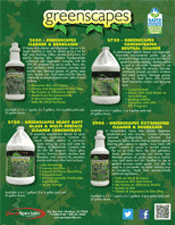 greenscapes brochure