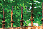 rusted wrought iron fence
