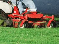 Fall, Winter Groundskeeping