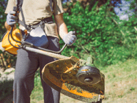 Insecticides